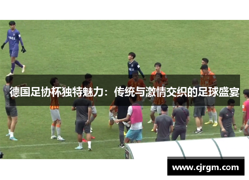德国足协杯独特魅力：传统与激情交织的足球盛宴